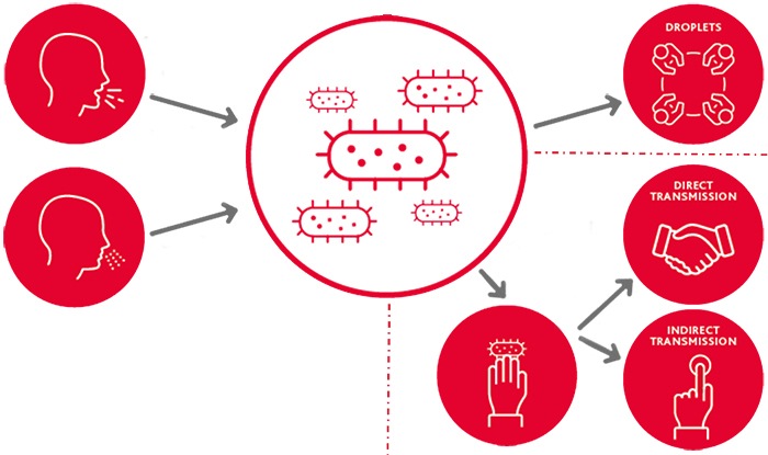 Infection_prevention_Bacteria_spread.jpg